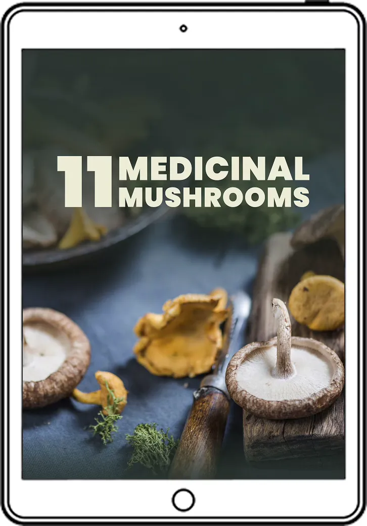 11 Medicinal Mushrooms — A Beginner's Guide ebook